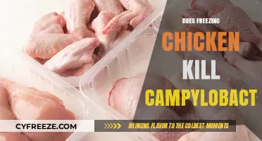 Chill or Kill: Campylobacter's Fate in Frozen Chicken Revealed