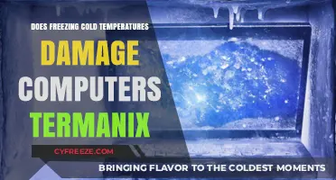 Can Freezing Temperatures Harm Your Computer? Termanix Explains the Risks