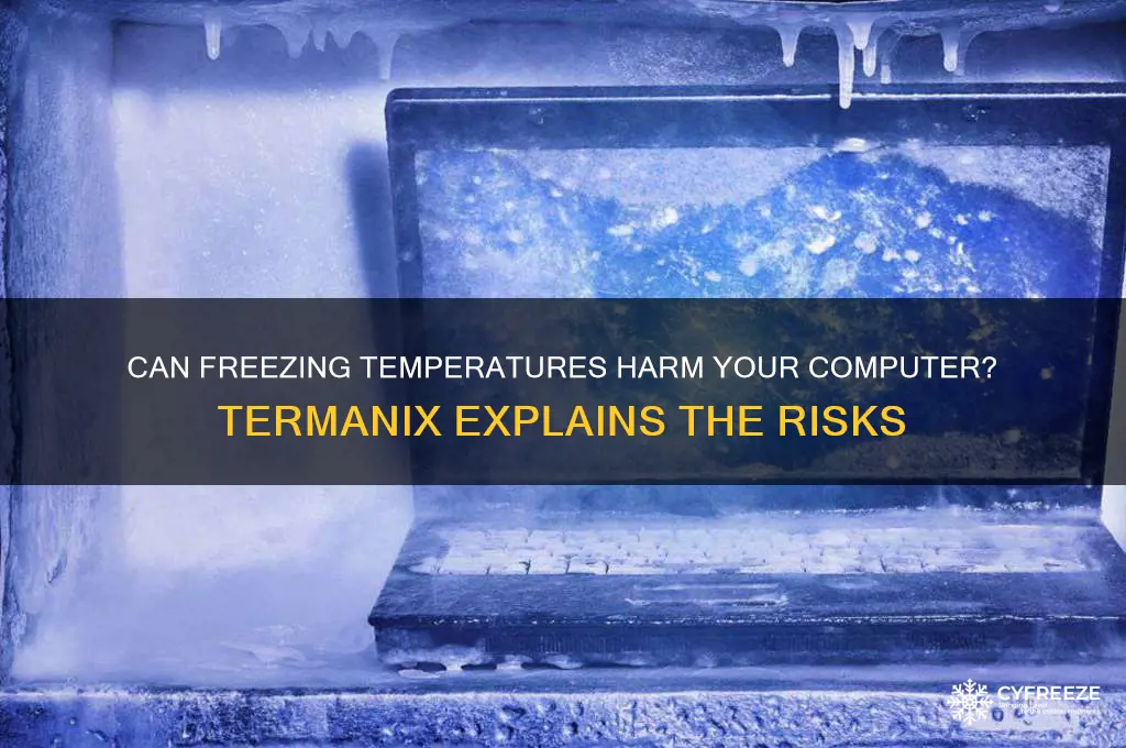 does freezing cold temperatures damage computers termanix
