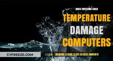 Can Extreme Cold Temperatures Harm Your Computer's Performance and Lifespan?