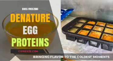 Freezing Eggs: Does It Denature Proteins and Affect Quality?