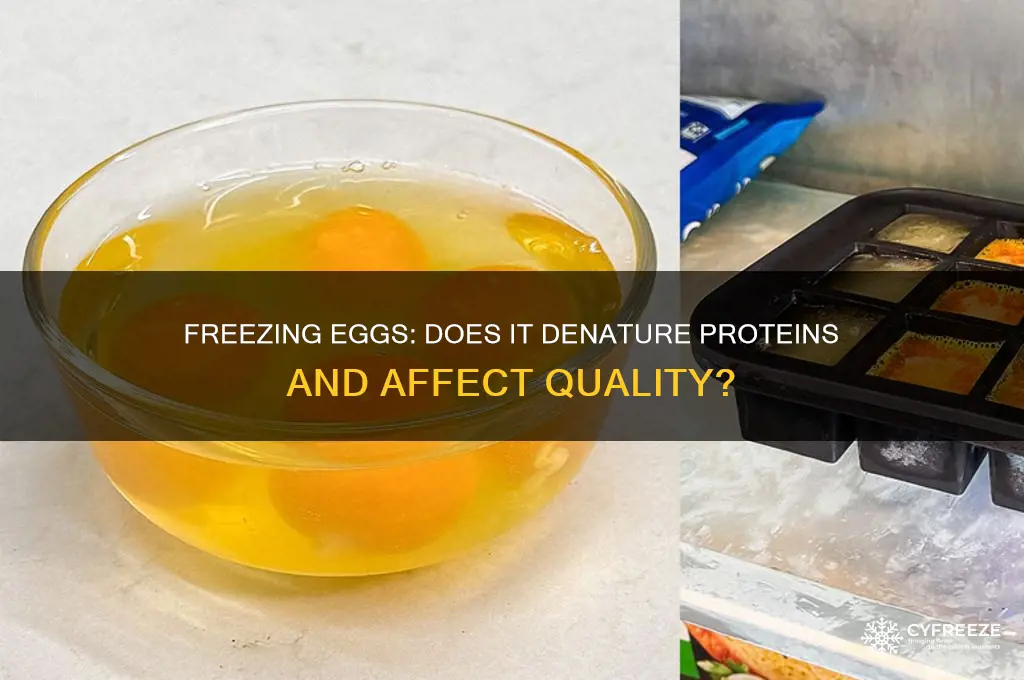 does freezing denature egg proteins