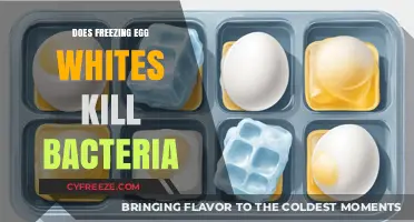 Freezing Egg Whites: Does It Effectively Eliminate Harmful Bacteria?
