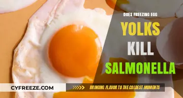 Freezing Egg Yolks: Effective Salmonella Killer or Food Safety Myth?