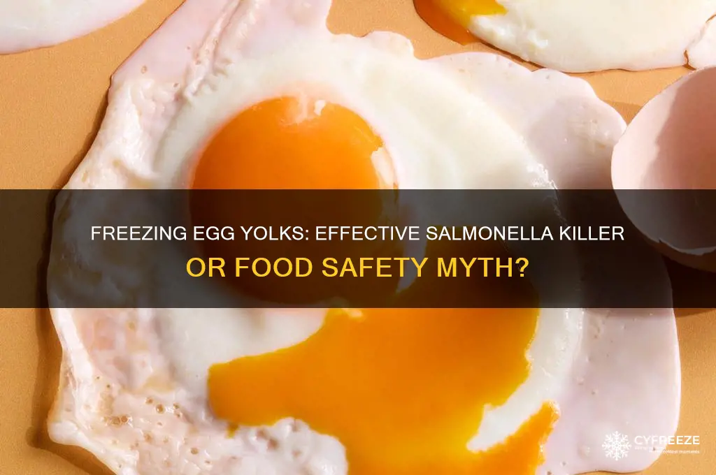 does freezing egg yolks kill salmonella
