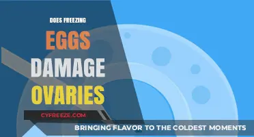 Does Freezing Eggs Harm Ovaries? Facts and Myths Explained