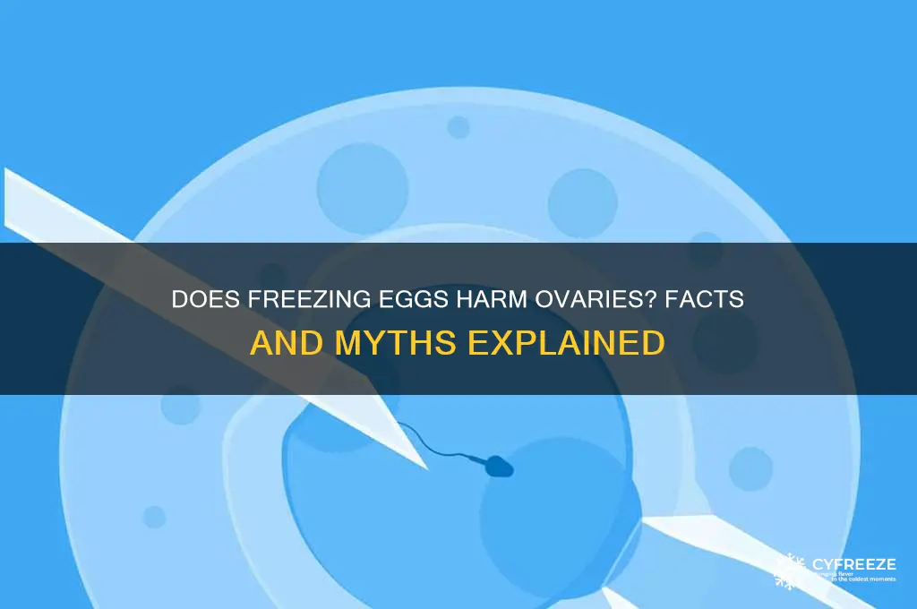 does freezing eggs damage ovaries