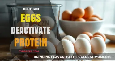 Does Freezing Eggs Affect Protein Quality? Debunking the Myth