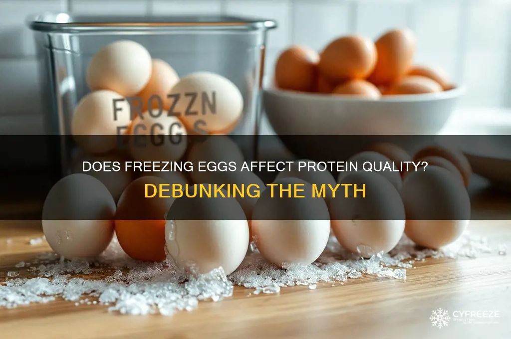 does freezing eggs deactivate protein