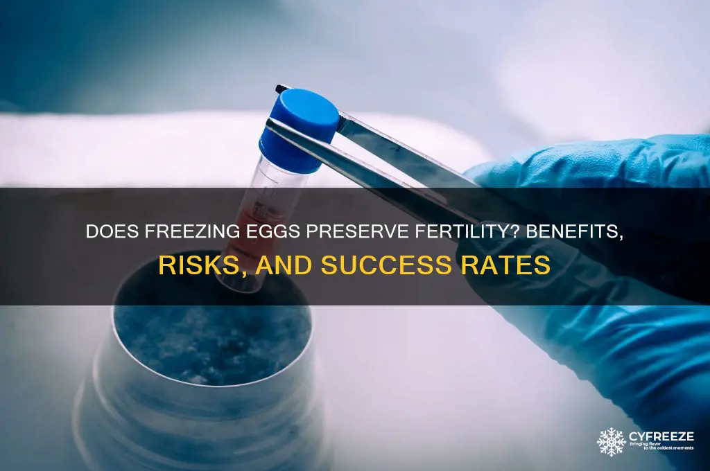 does freezing eggs do anything
