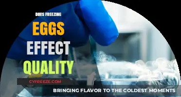 Does Freezing Eggs Compromise Quality? A Comprehensive Analysis
