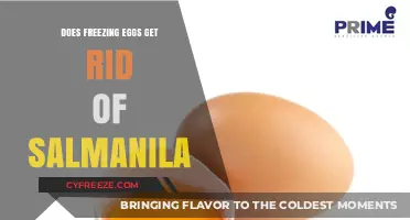 Freezing Eggs: Effective Salmonella Elimination or Food Safety Myth?