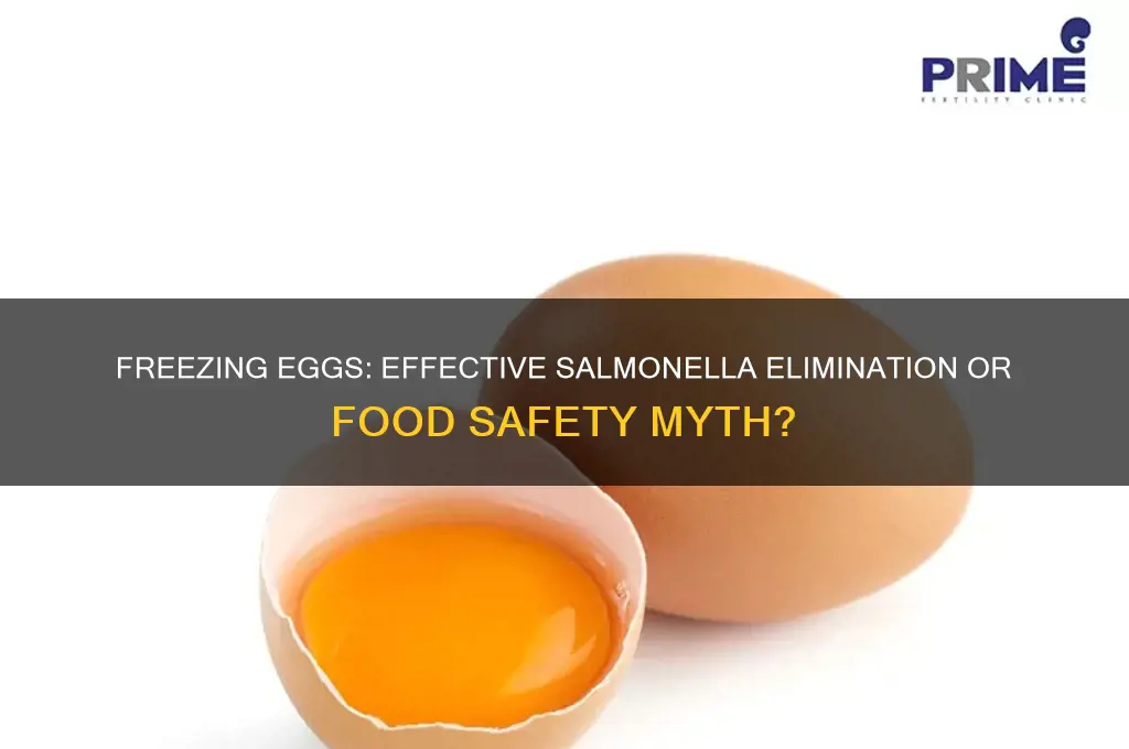 does freezing eggs get rid of salmanila