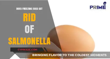 Freezing Eggs: Effective Salmonella Elimination or Food Safety Myth?