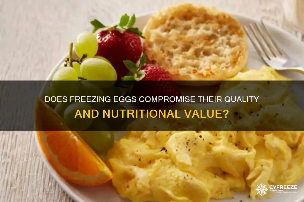 does freezing eggs harm them