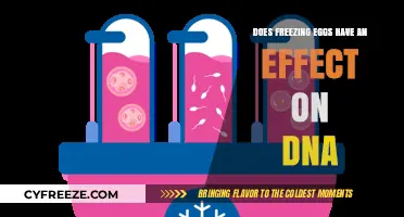 Freezing Eggs: Impact on DNA Integrity and Long-Term Viability