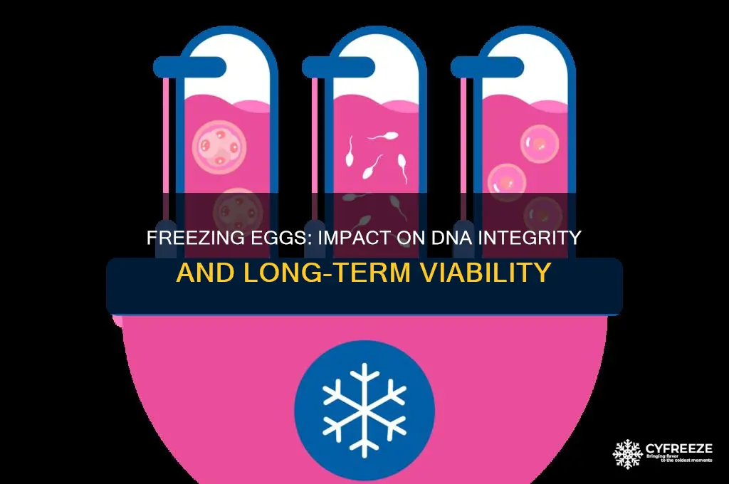 does freezing eggs have an effect on dna