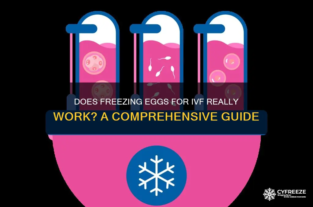 does freezing eggs ivf work