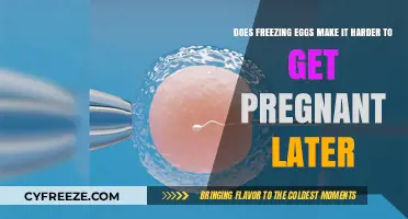 The Impact of Egg Freezing on Future Fertility: A Comprehensive Guide