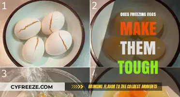 The Impact of Freezing on Egg Texture: Tough or Tender?