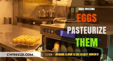 Does Freezing Eggs Pasteurize Them? Separating Fact from Fiction