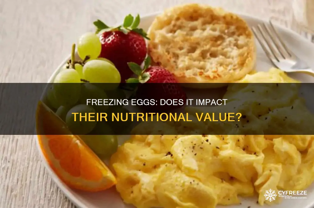 does freezing eggs reduce its nutritional value