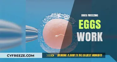 Does Freezing Eggs Work? Exploring Success Rates and Considerations