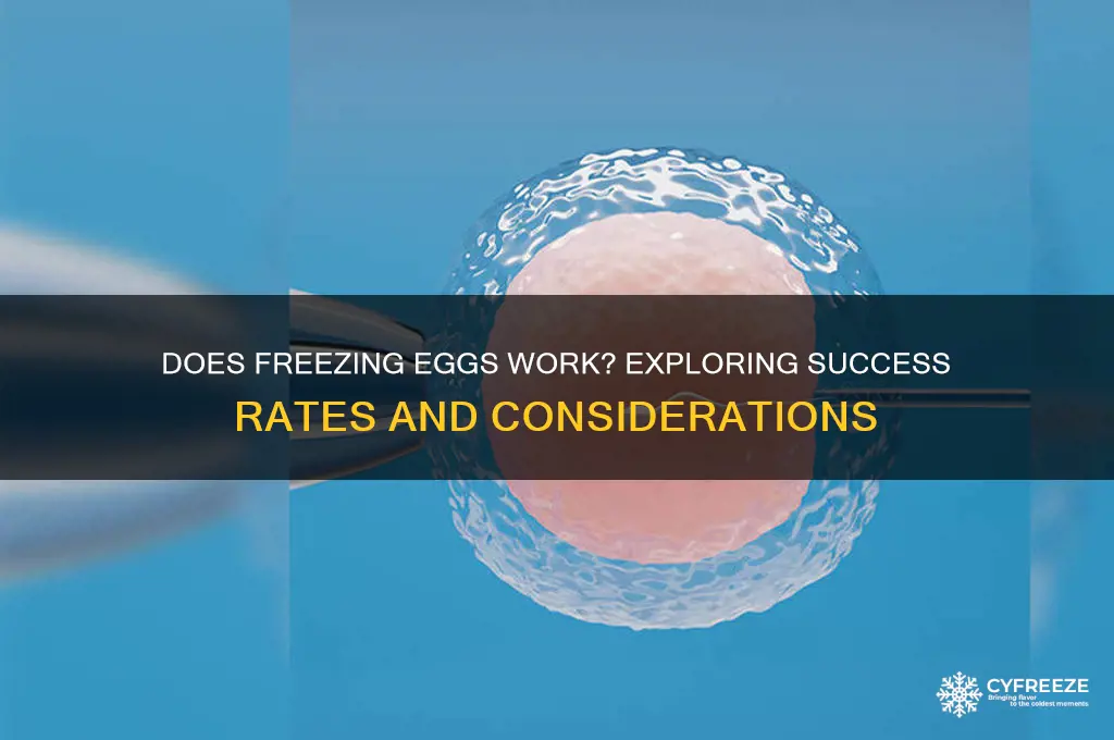 does freezing eggs work
