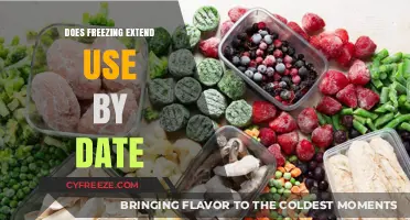 Freezing Food: Can It Safely Extend the Use-By Date?