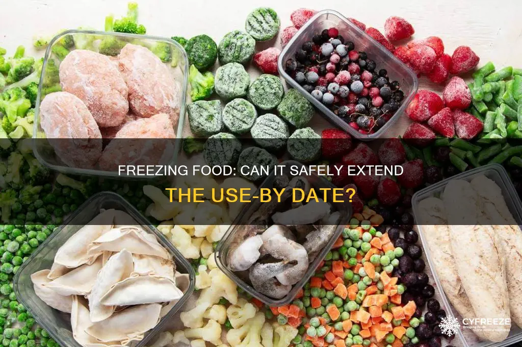 does freezing extend use by date