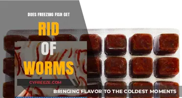 Freezing Fish: Effective Worm Removal or Myth? Expert Insights