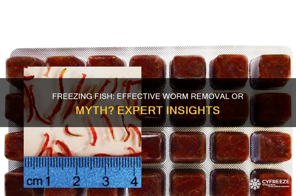 does freezing fish get rid of worms