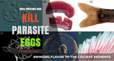 Freezing Fish: Effective Method to Eliminate Parasite Eggs?