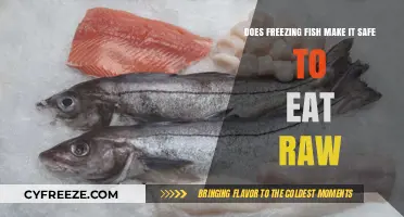 From Freezer to Feast: The Raw Truth About Frozen Fish Safety