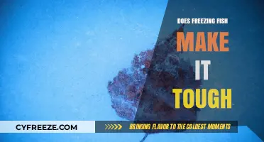 The Impact of Freezing on Fish Texture: Tough or Tender?
