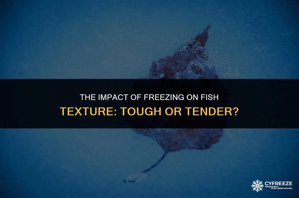 does freezing fish make it tough