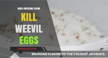 Freezing Flour: Effective Method to Kill Weevil Eggs or Myth?