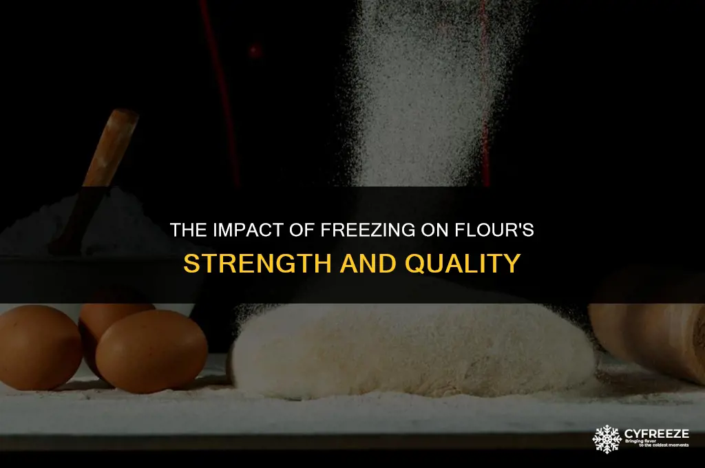 does freezing flour make it weaket