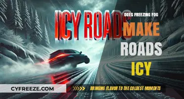 The Hidden Peril: How Freezing Fog Transforms Roads into Icy Traps