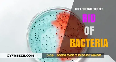 Freezing Food: Does It Eliminate Bacteria or Just Slow Growth?