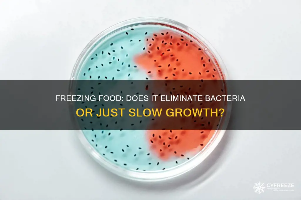 does freezing food get rid of bacteria