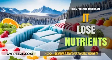 The Nutrient Retention Guide: Freezing Food Without Losing Its Value