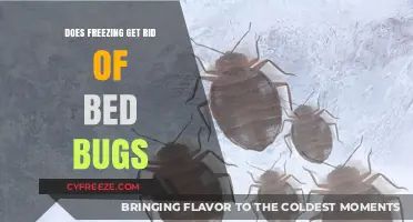 Freezing Bed Bugs: Effective Solution or Myth? Expert Insights Revealed
