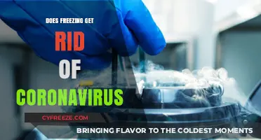 Freezing and COVID-19: Can Cold Temperatures Eliminate Coronavirus?