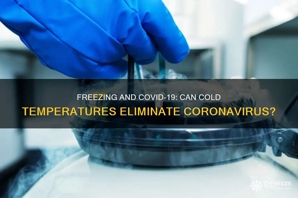 does freezing get rid of coronavirus