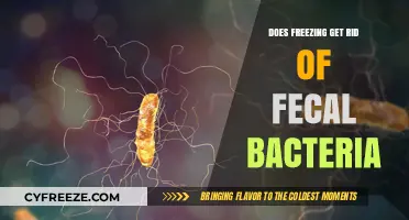 Freezing Food: Effective Method to Eliminate Fecal Bacteria or Myth?