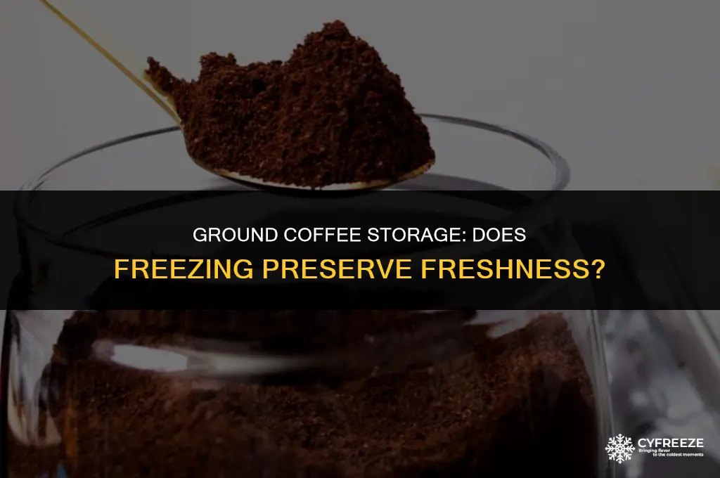 does freezing ground coffee keep it fresh