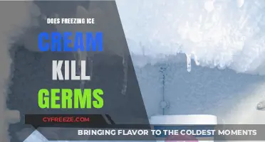 The Scoop on Ice Cream: Does Freezing Really Kill Germs?