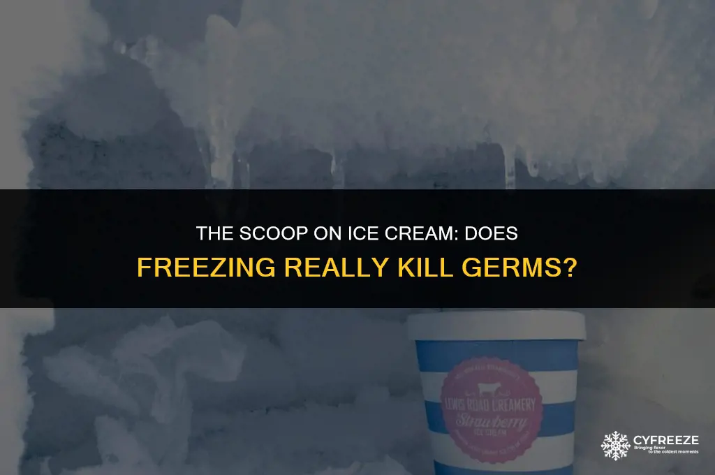 does freezing ice cream kill germs