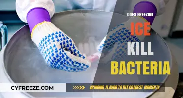Chilling Truth: Does Freezing Ice Eliminate Bacteria?
